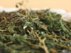c-cy-z-oezoe-005-medium