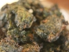 c-cy-z-oezoe-014-medium