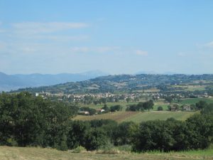 IMG_3495 (Medium)