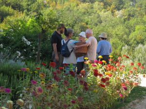IMG_3517 (Medium)